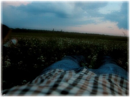 Клевер в волосах