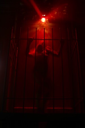 Дьявол в клетке