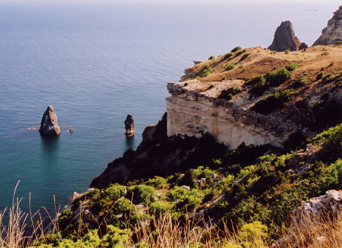 берега