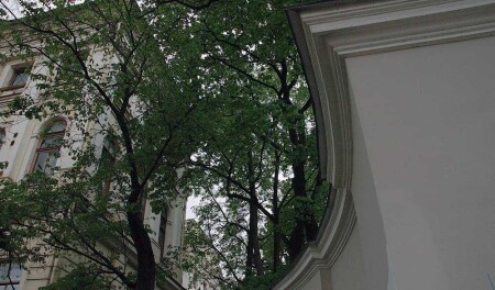 Кусочек Невского