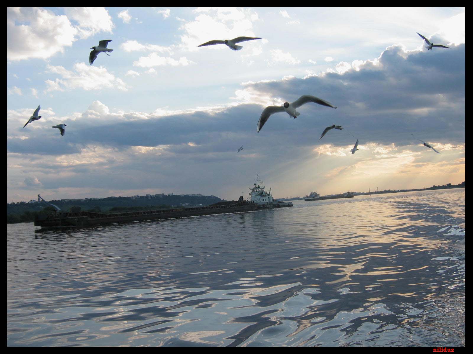 Небо… вода… чайки… земля… 