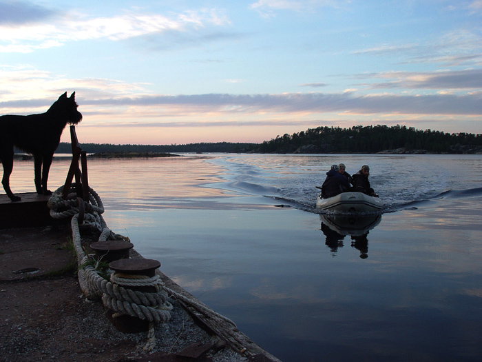 Белое море. Встреча