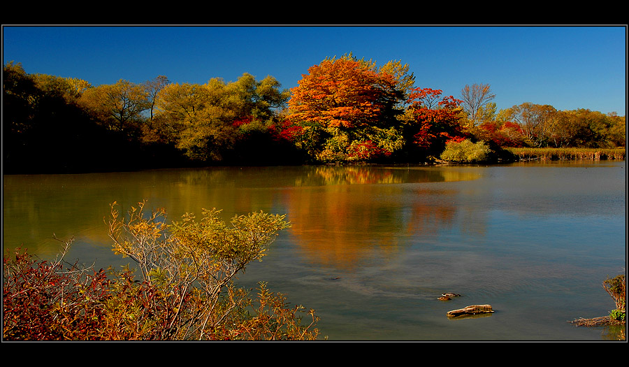Paints of Autumn