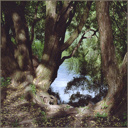 без названия #1