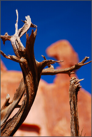 Arches National Park. 2.