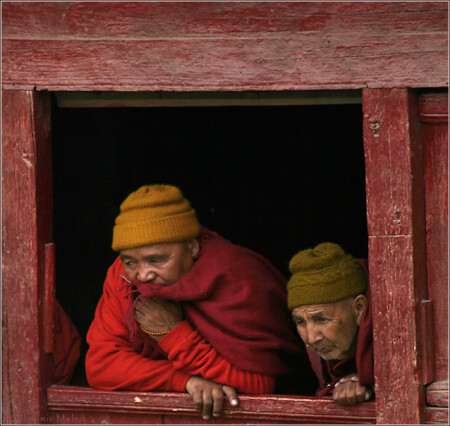 Наблюдая жизнь...