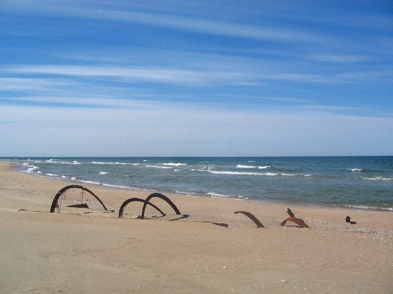 Берег Скелета