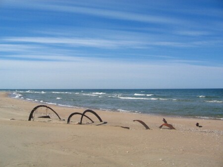 Берег Скелета