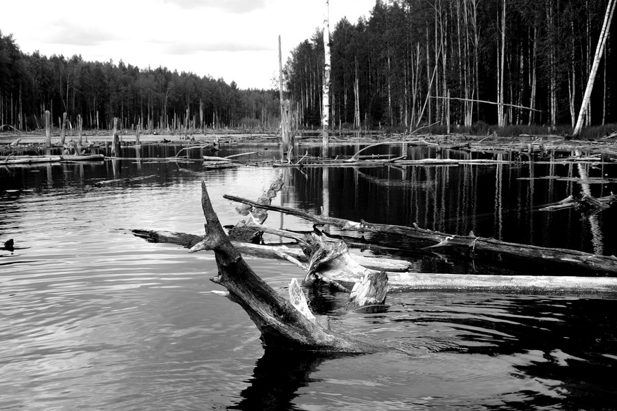 Русалочья лёжка