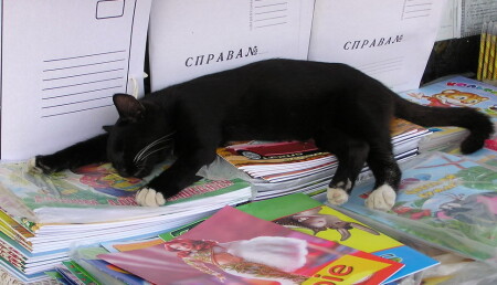 Устал бедняга . . .