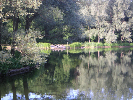 Rheinaue, Bonn, Paradies