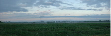 Утро на полях 4:30