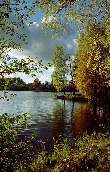 Подмосковная осень
