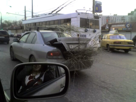 растопки взял достаточно, дрова потом нарублю