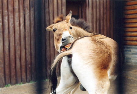 &amp;quot;У меня тут вша, а вы снимаете!..&amp;quot;