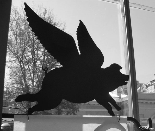 When Pigs Fly