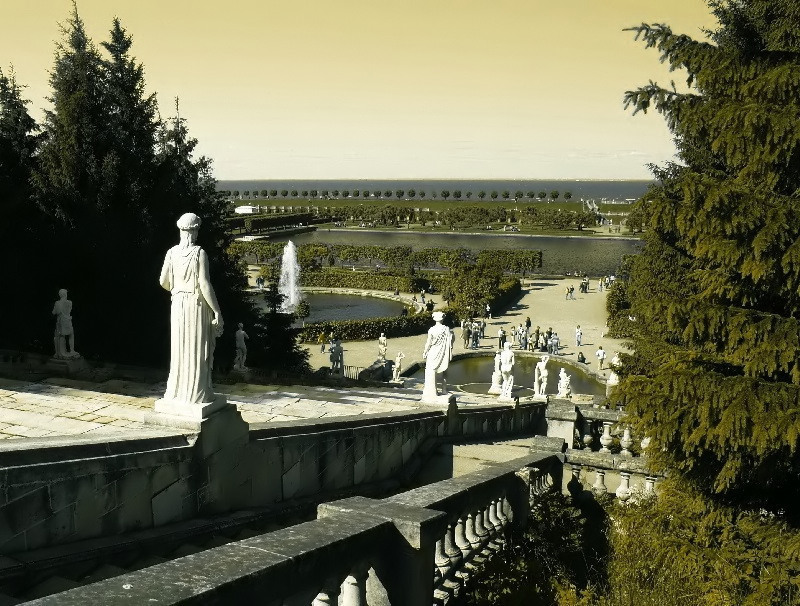 Марли