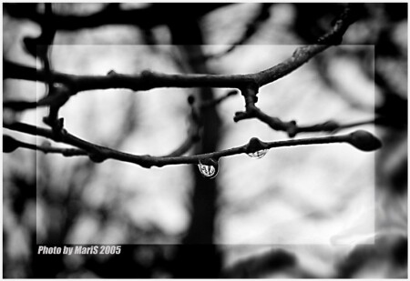 последняя капля