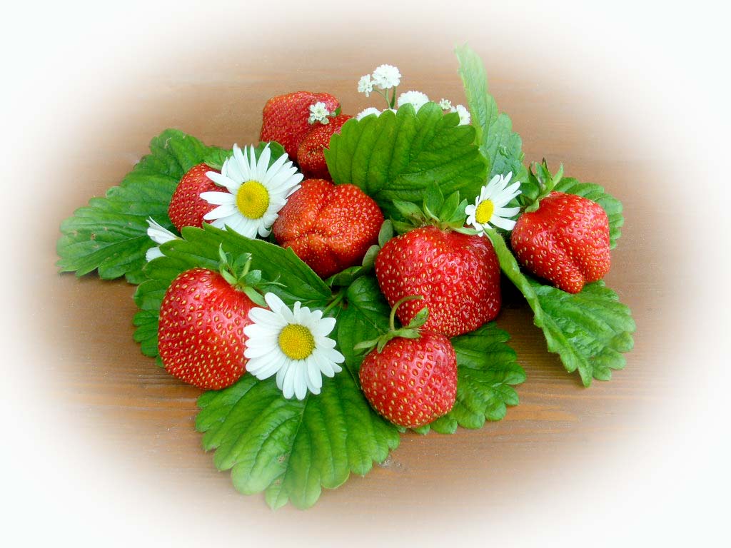 Краски лета