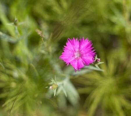 Звездный мир