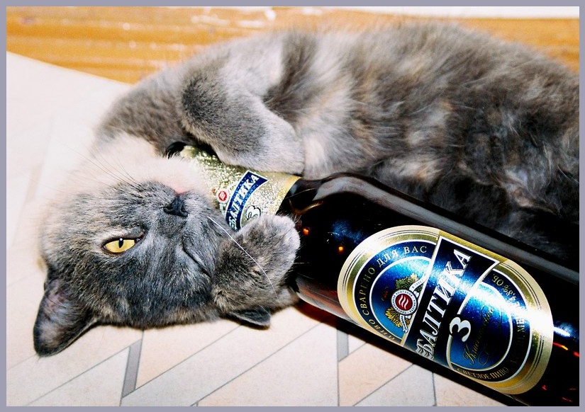 КТО ЗДЕСЬ???!
