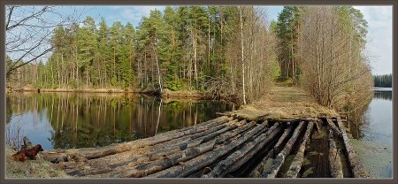 Весенняя картинка с сожженным мостом и собакой