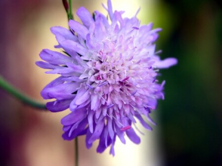 Настроение