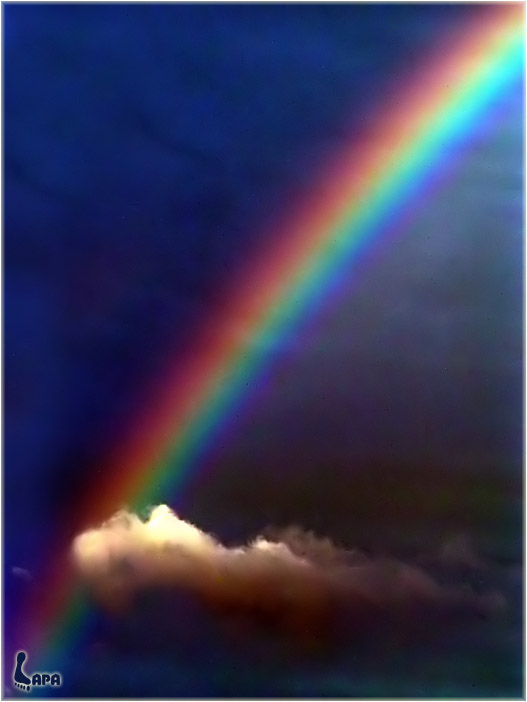 Rainbow in the dark