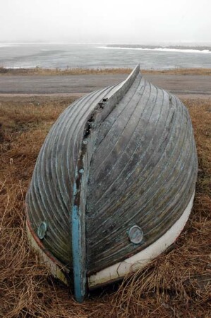 Мыслю, значит существую