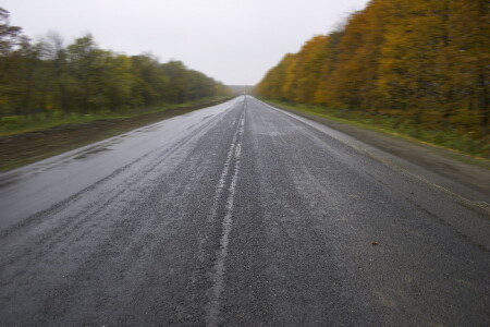 Дорога туда, где нас нет