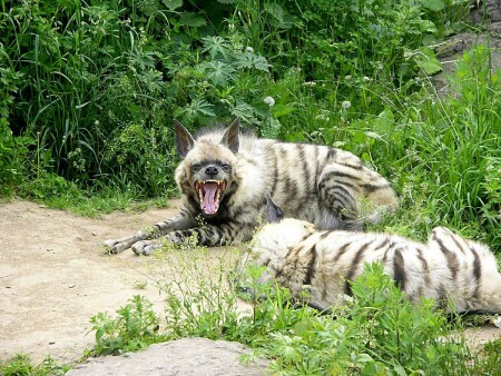 С добрым утром.