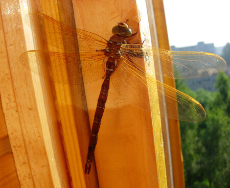 Передышка на 8-ом этаже