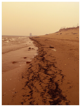 Амур2