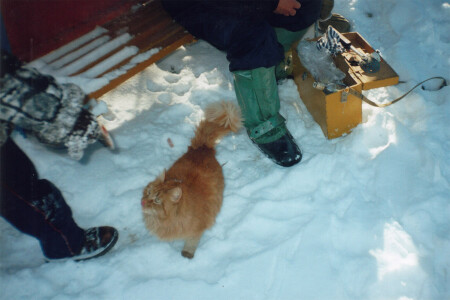 Удачная рыбалка