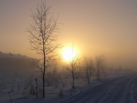 Вышел я из дому, был сильный мороз...