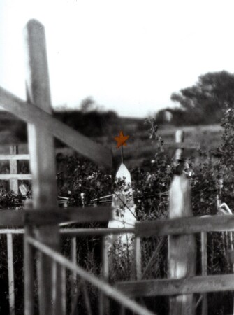 без названия