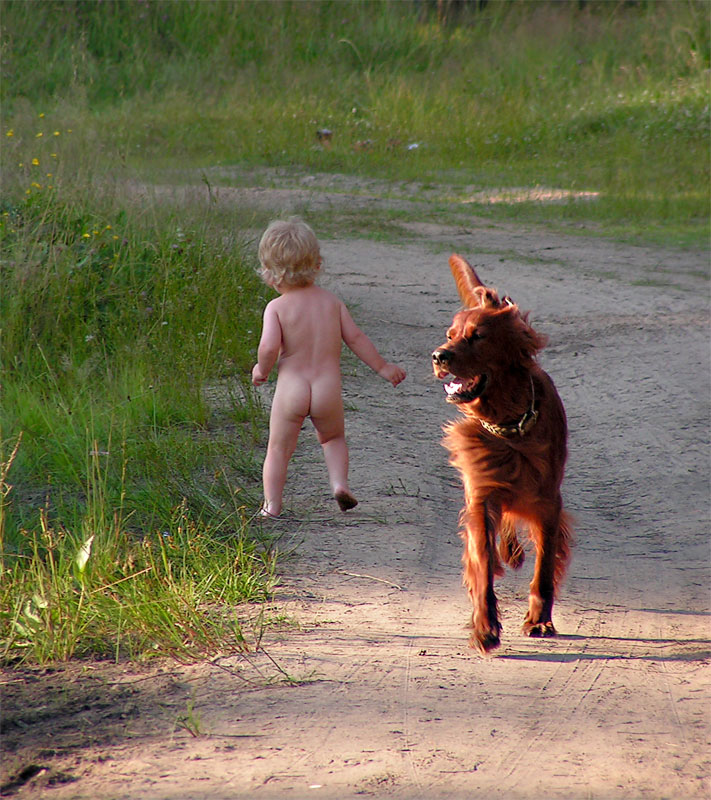 своя дорога