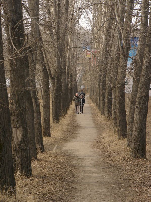 Тропинка