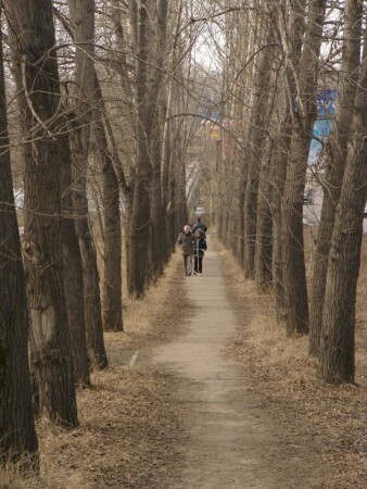 Тропинка