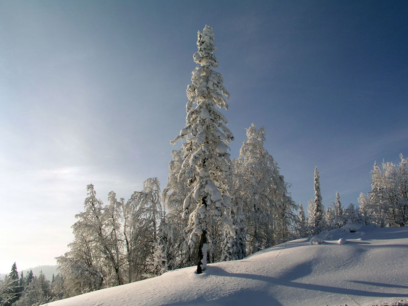 Белогорье