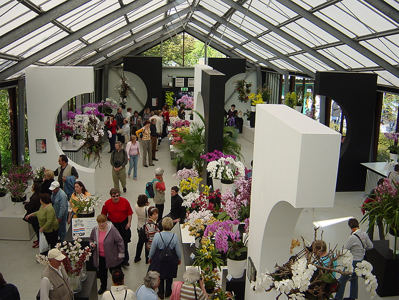KEUKENHOF – праздник весенней мозаики 16