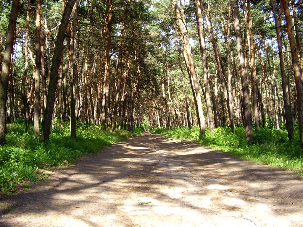 The Way