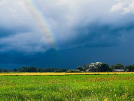 за несколько минут до грозы