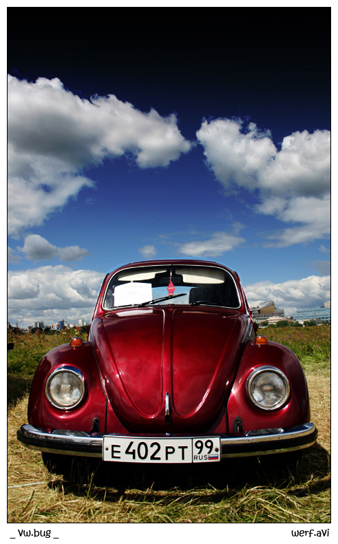 vw.bug