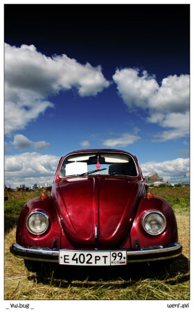 vw.bug