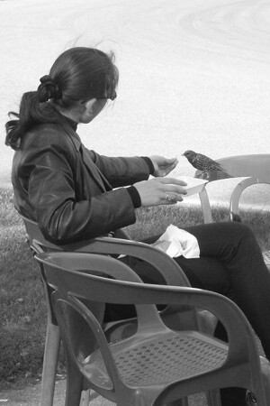 Завтрак на двоих