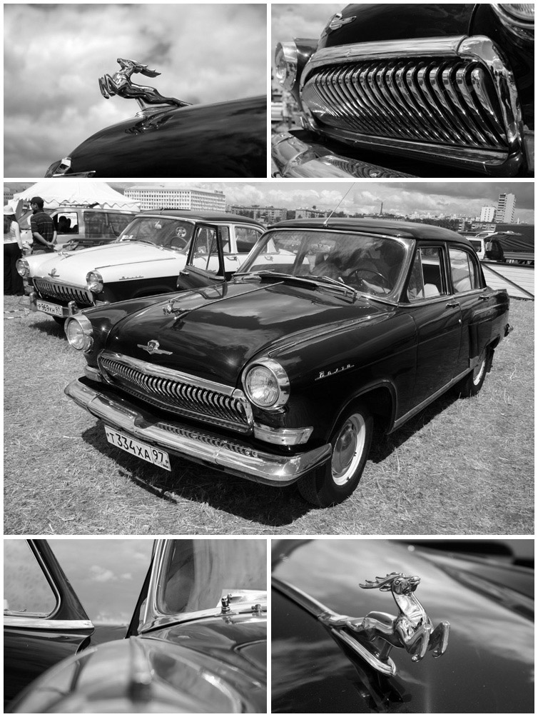 volga.black