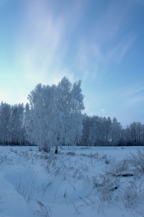 The Winter evening...