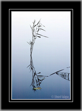 Осенние иероглифы