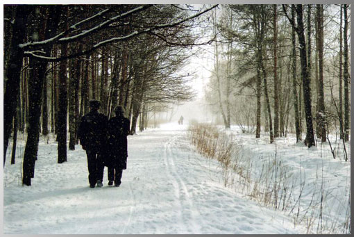 Зимняя прогулка
